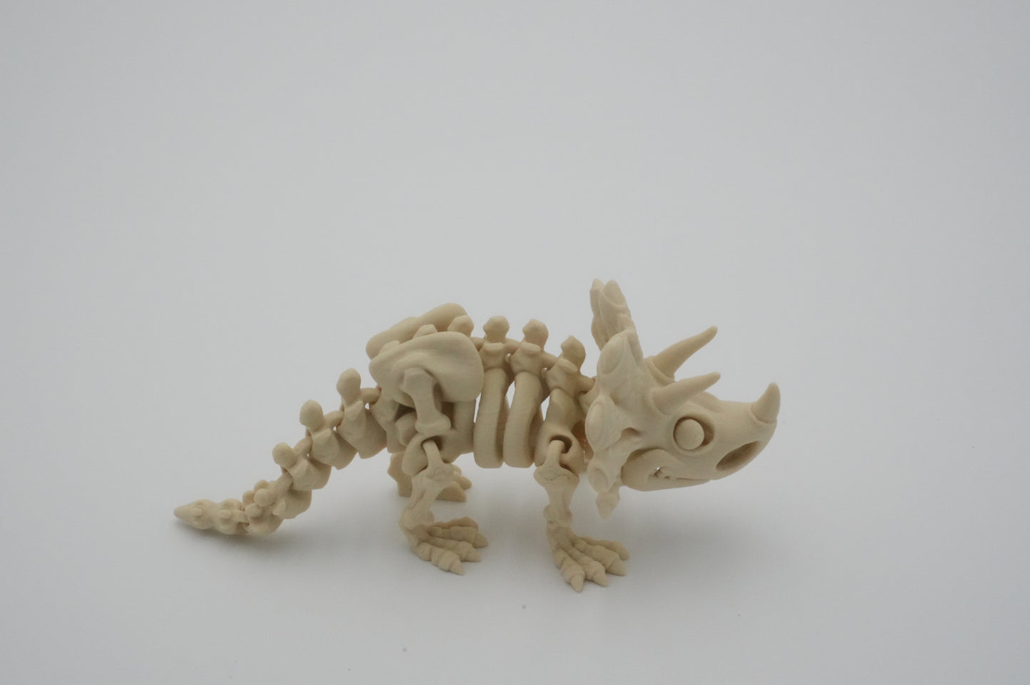 Articulating 3D Printed Skeleton Triceratops