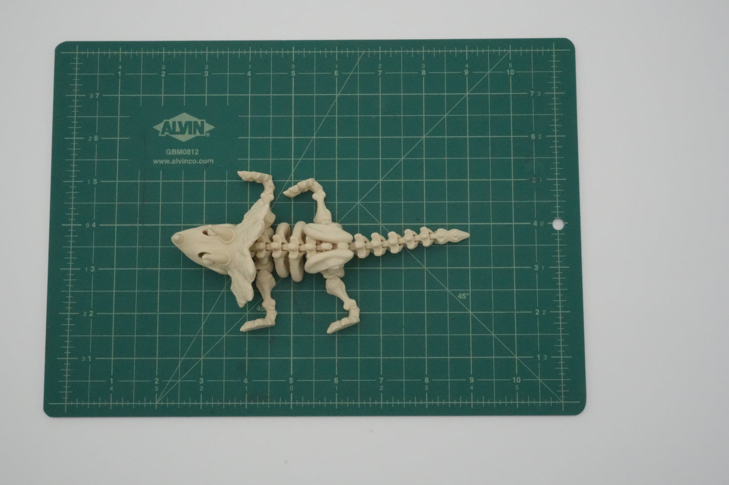 Articulating 3D Printed Skeleton Triceratops