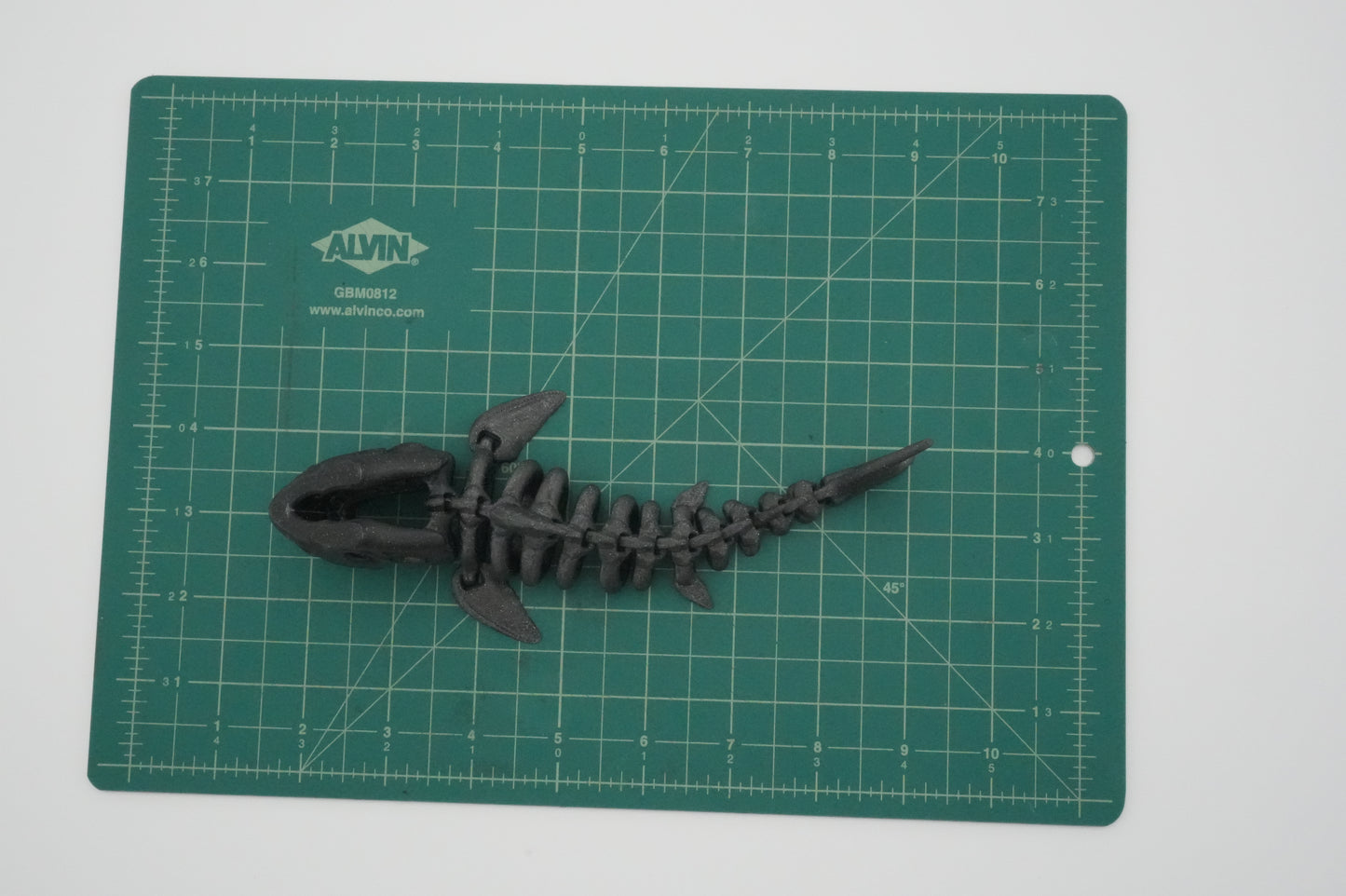 Articulating 3D Printed Bone Shark